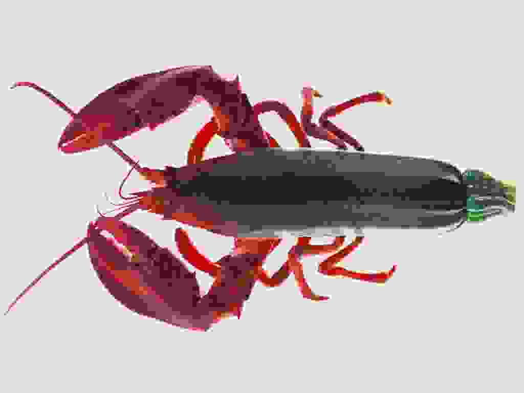 retouche-0007.jpg