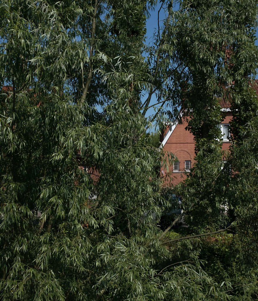 hors-0010.jpg
