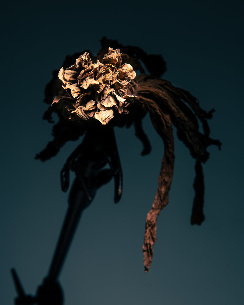 DSC4512-2-Modifier.jpg