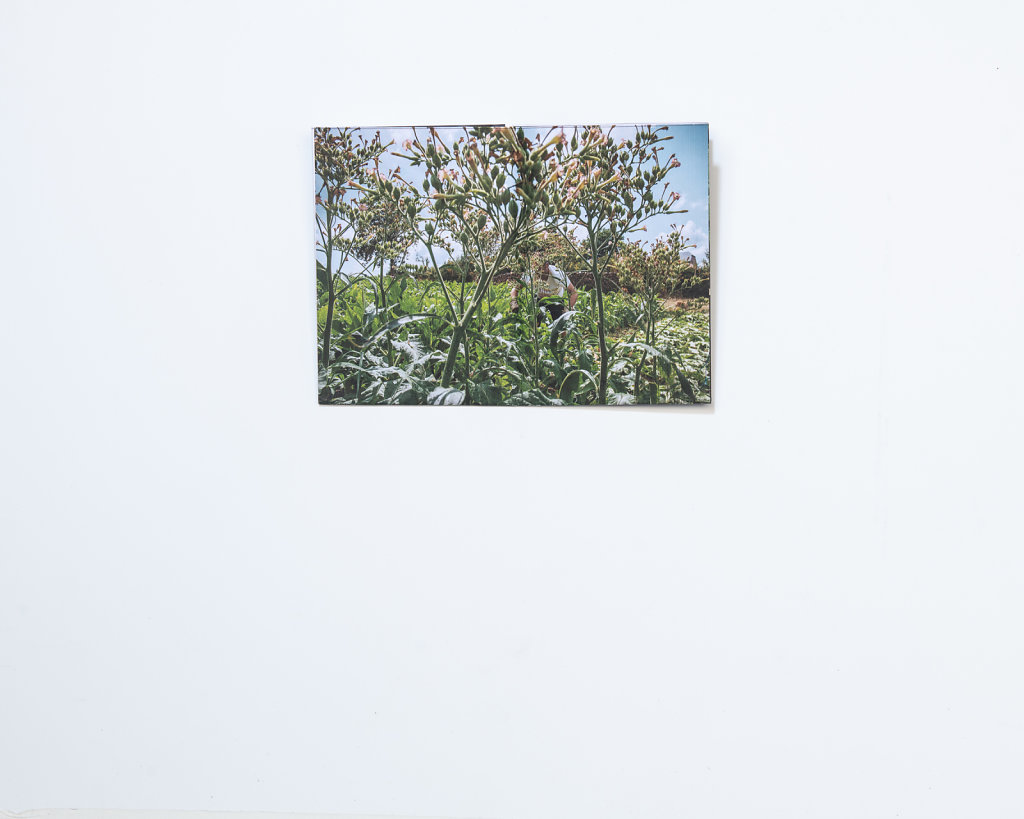 fold03.jpg