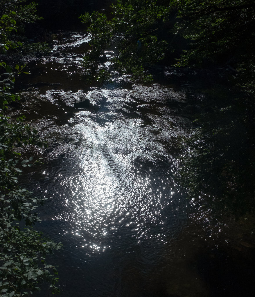 044-paysage-reflet-sur-la-lesse-cj-DSF0204.jpg
